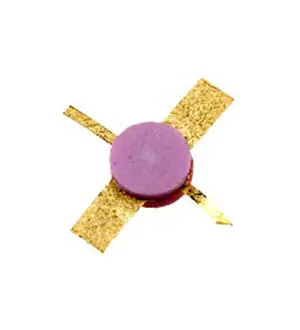 2Т372 фото 2 2Т372 фото 2